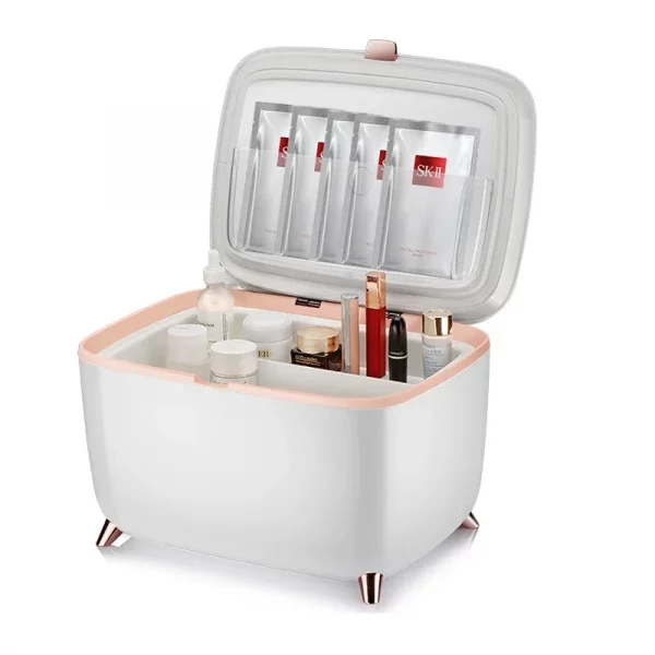 Small 9l 12v Cute Smart Makeup Cosmetic Other Compact Refrigerators Beauty Mini Bar Car Skincare Fridge